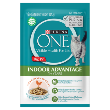 PURINA ONE Adult Indoor Advantage with Chicken Wet Cat Food Purina